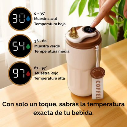 ThermoSense Pro